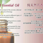 Aromatherapy Wellness Centre - George Town