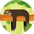 Team Leader Report