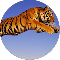 prakash ashrey prakash ashrey